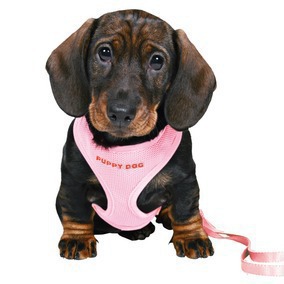 Trixie Шлейка-жилетка с поводком для щенков розовая