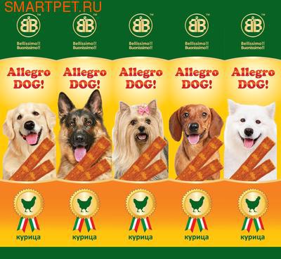 Allegro Dog     