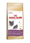 Royal Canin British Shorthair 34