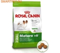 Royal Canin X-Small Mature